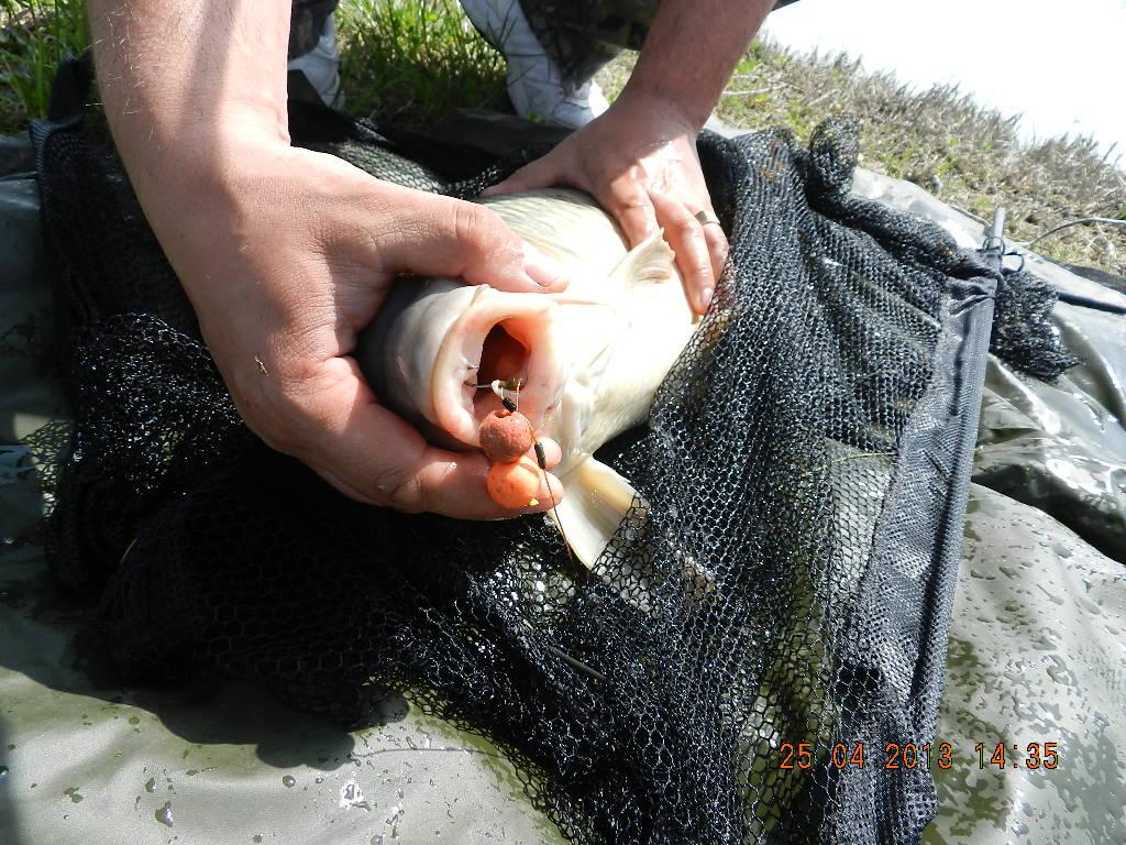 carpfishing - dscn1252.JPG